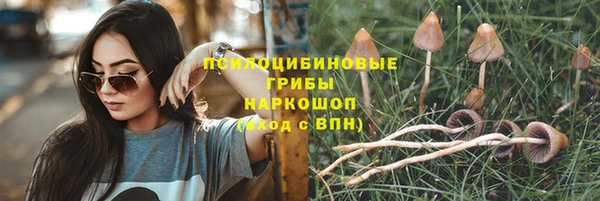 СК Пересвет
