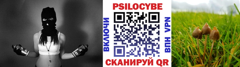 закладка  Алупка  Галлюциногенные грибы Psilocybe 